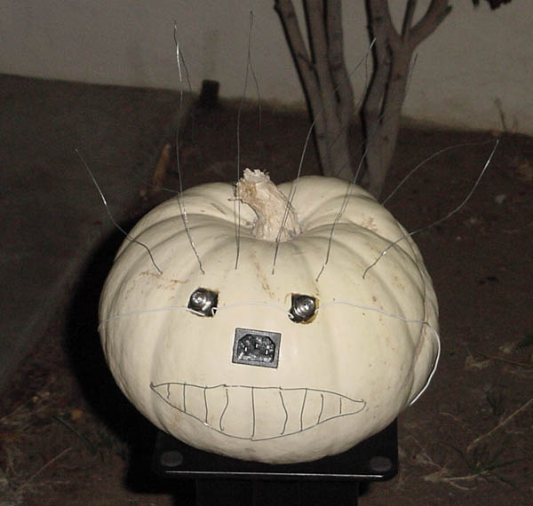 cyberpumpkinflash